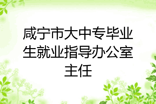 咸宁市大中专毕业生就业指导办公室主任
