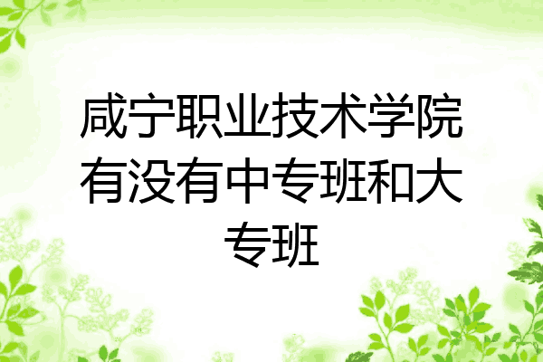 咸宁职业技术学院有没有中专班和大专班