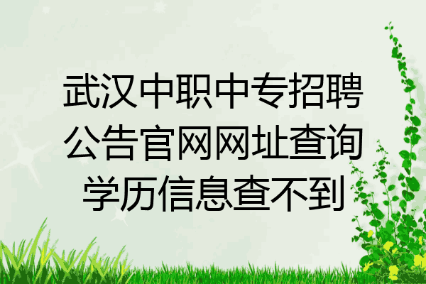 武汉中职中专招聘公告官网网址查询学历信息查不到