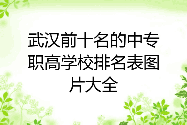 武汉前十名的中专职高学校排名表图片大全