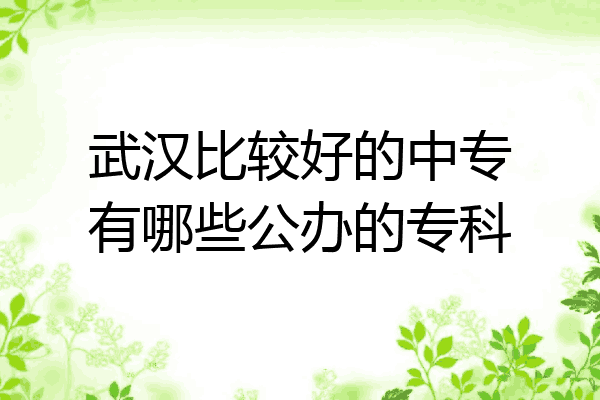 武汉比较好的中专有哪些公办的专科