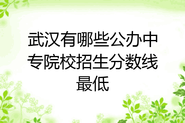 武汉有哪些公办中专院校招生分数线最低