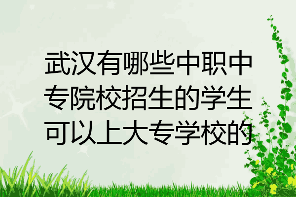 武汉有哪些中职中专院校招生的学生可以上大专学校的
