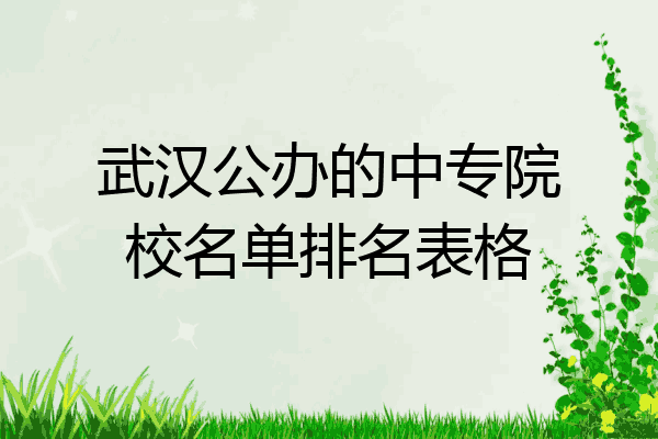 武汉公办的中专院校名单排名表格