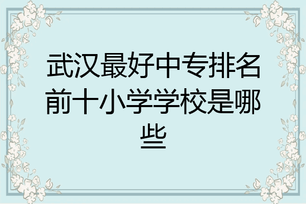 武汉最好中专排名前十小学学校是哪些