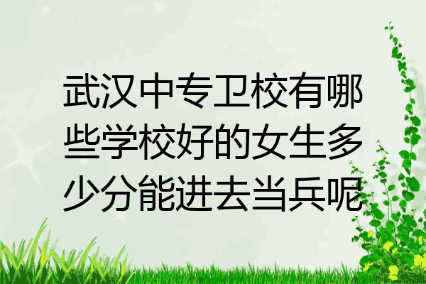 武汉中专卫校有哪些学校好的女生多少分能进去当兵呢