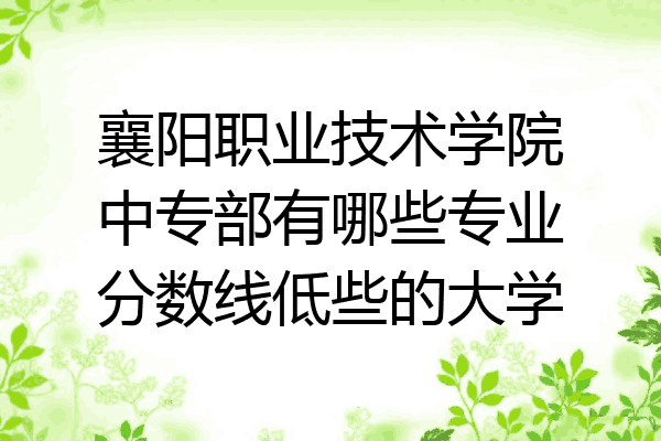 襄阳职业技术学院中专部有哪些专业分数线低些的大学