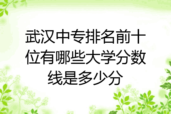 武汉中专排名前十位有哪些大学分数线是多少分