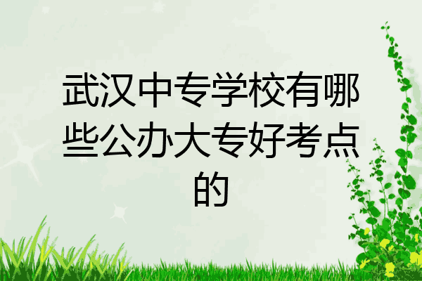 武汉中专学校有哪些公办大专好考点的