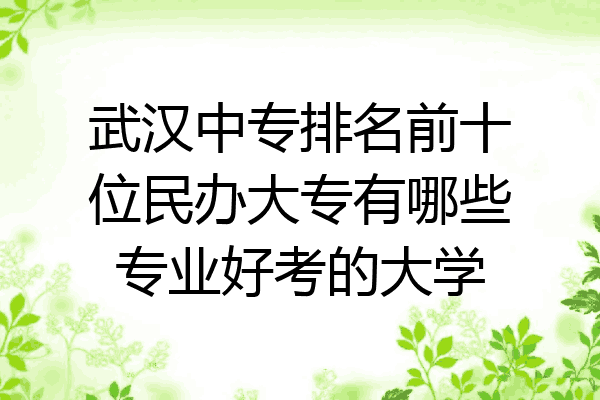 武汉中专排名前十位民办大专有哪些专业好考的大学