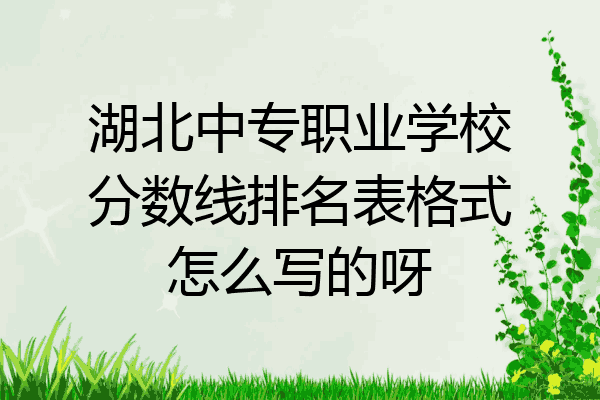 湖北中专职业学校分数线排名表格式怎么写的呀
