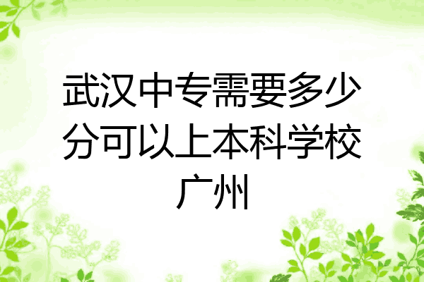武汉中专需要多少分可以上本科学校广州