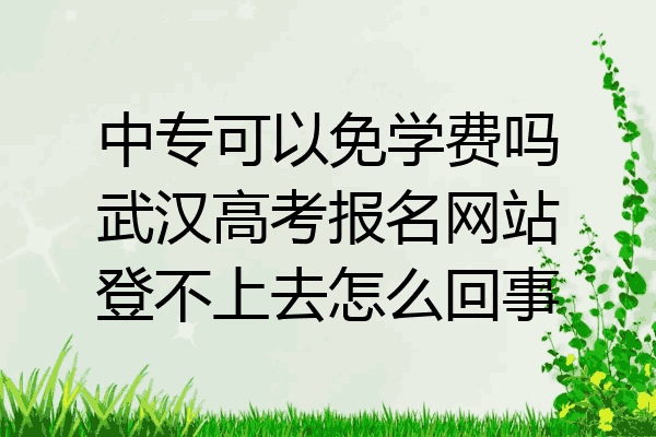 中专可以免学费吗武汉高考报名网站登不上去怎么回事