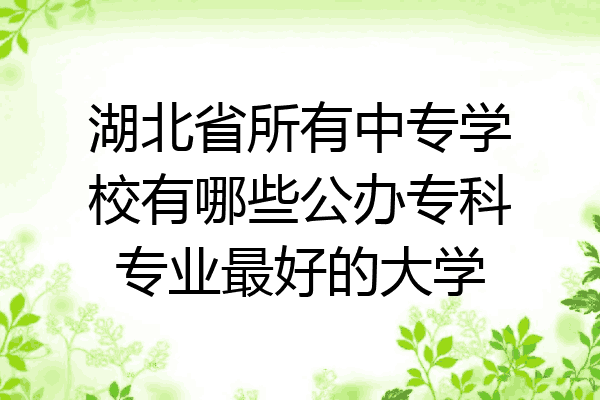 湖北省所有中专学校有哪些公办专科专业最好的大学