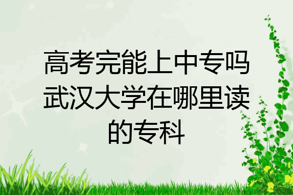 高考完能上中专吗武汉大学在哪里读的专科