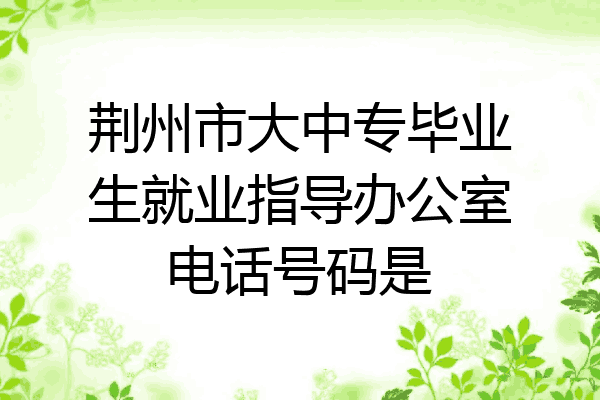 荆州市大中专毕业生就业指导办公室电话号码是