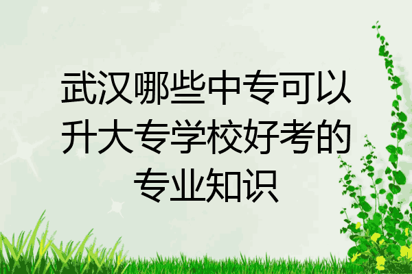 武汉哪些中专可以升大专学校好考的专业知识