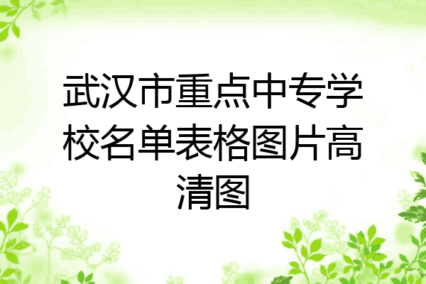 武汉市重点中专学校名单表格图片高清图