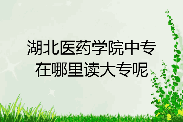 湖北医药学院中专在哪里读大专呢