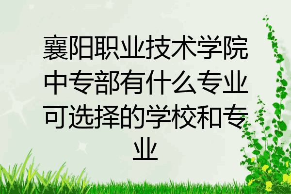 襄阳职业技术学院中专部有什么专业可选择的学校和专业