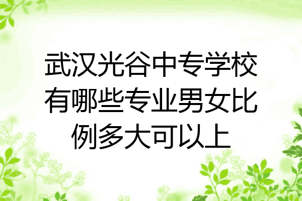 武汉光谷中专学校有哪些专业男女比例多大可以上