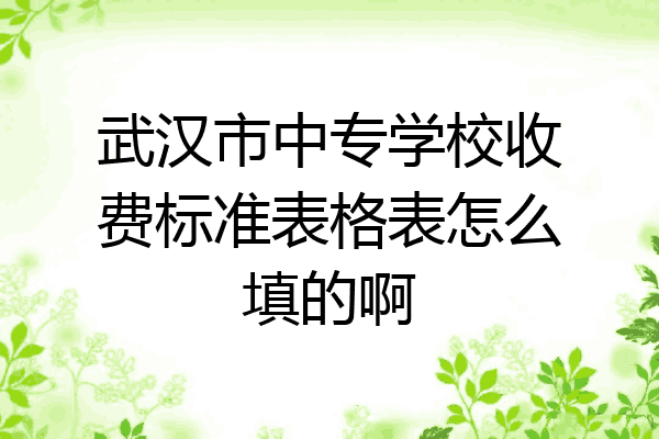 武汉市中专学校收费标准表格表怎么填的啊