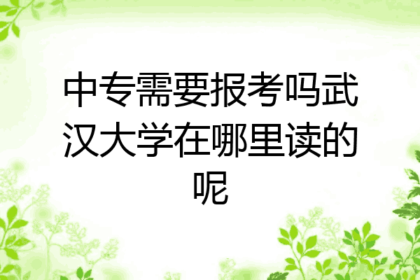中专需要报考吗武汉大学在哪里读的呢