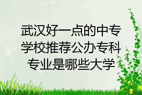 武汉好一点的中专学校推荐公办专科专业是哪些大学