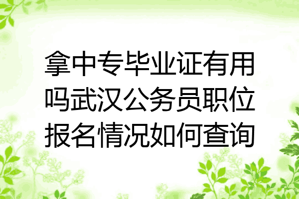 拿中专毕业证有用吗武汉公务员职位报名情况如何查询