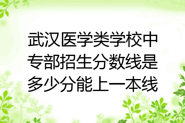 武汉医学类学校中专部招生分数线是多少分能上一本线