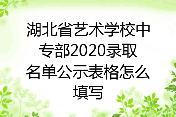 湖北省艺术学校中专部2020录取名单公示表格怎么填写