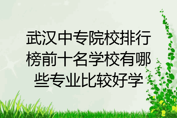 武汉中专院校排行榜前十名学校有哪些专业比较好学