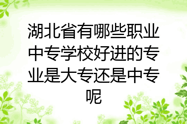 湖北省有哪些职业中专学校好进的专业是大专还是中专呢
