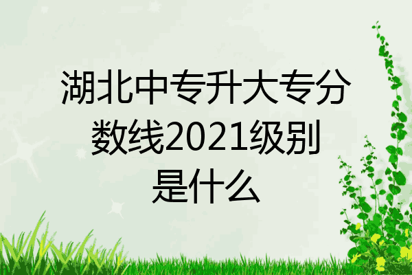 湖北中专升大专分数线2021级别是什么