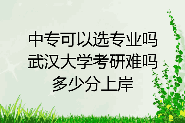 中专可以选专业吗武汉大学考研难吗多少分上岸