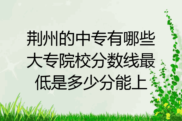 荆州的中专有哪些大专院校分数线最低是多少分能上