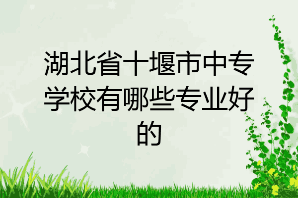 湖北省十堰市中专学校有哪些专业好的