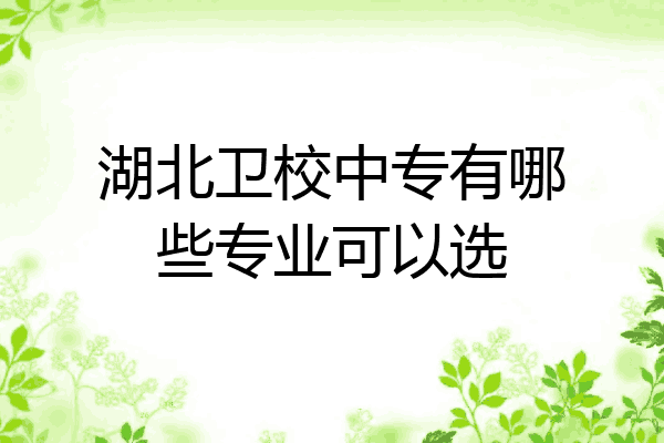 湖北卫校中专有哪些专业可以选