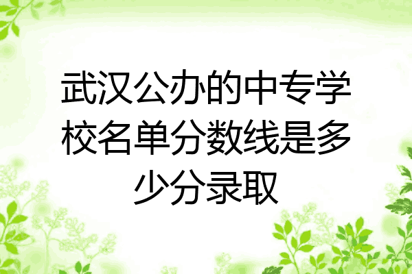 武汉公办的中专学校名单分数线是多少分录取