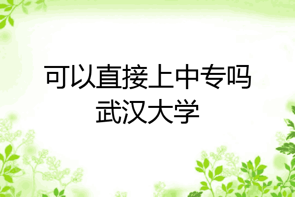 可以直接上中专吗武汉大学