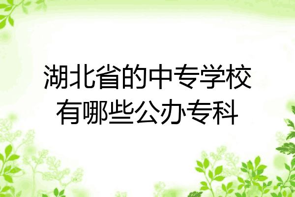 湖北省的中专学校有哪些公办专科