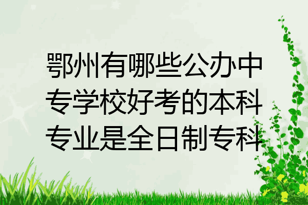 鄂州有哪些公办中专学校好考的本科专业是全日制专科