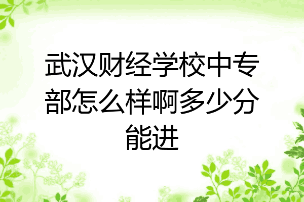武汉财经学校中专部怎么样啊多少分能进