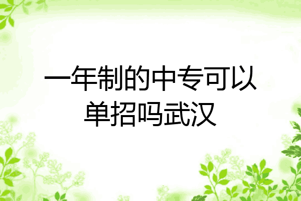 一年制的中专可以单招吗武汉