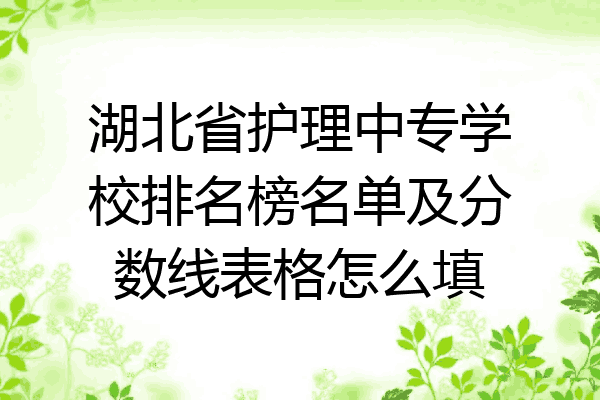 湖北省护理中专学校排名榜名单及分数线表格怎么填