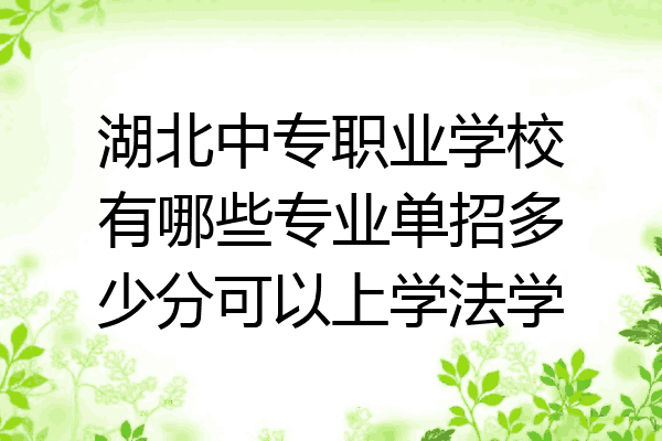 湖北中专职业学校有哪些专业单招多少分可以上学法学
