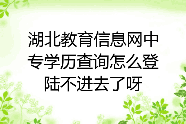 湖北教育信息网中专学历查询怎么登陆不进去了呀