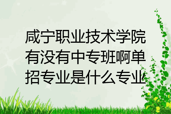 咸宁职业技术学院有没有中专班啊单招专业是什么专业