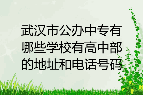 武汉市公办中专有哪些学校有高中部的地址和电话号码