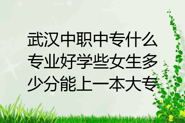 武汉中职中专什么专业好学些女生多少分能上一本大专